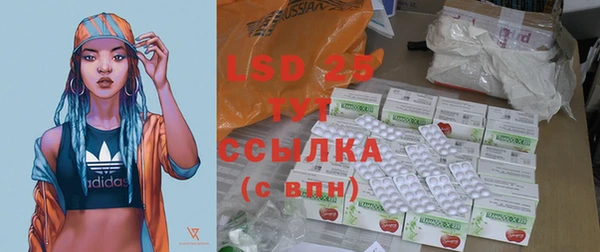 ГАЛЛЮЦИНОГЕННЫЕ ГРИБЫ Абаза
